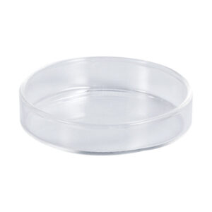 Versatile Pet Feeder: Large Shrimp Feeding Dish and Spider Bowl for All Your Pet Care Needs