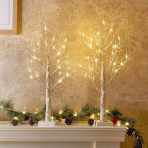 2FT LED Birch Tree in Warm White - Perfect Christmas Decoration